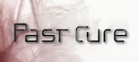 Past Cure (электронная версия)