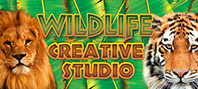 The Wildlife Creative Studio (электронная версия)