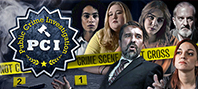 PCI Public Crime Investigation (электронная версия)