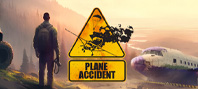 Plane Accident (электронная версия)
