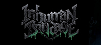 Darkest Dungeon® II: Inhuman Bondage (электронная версия)