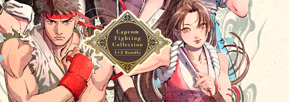 Capcom Fighting Collection 1 + 2 Bundle