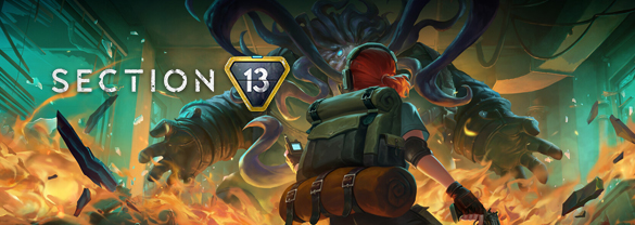 Section 13